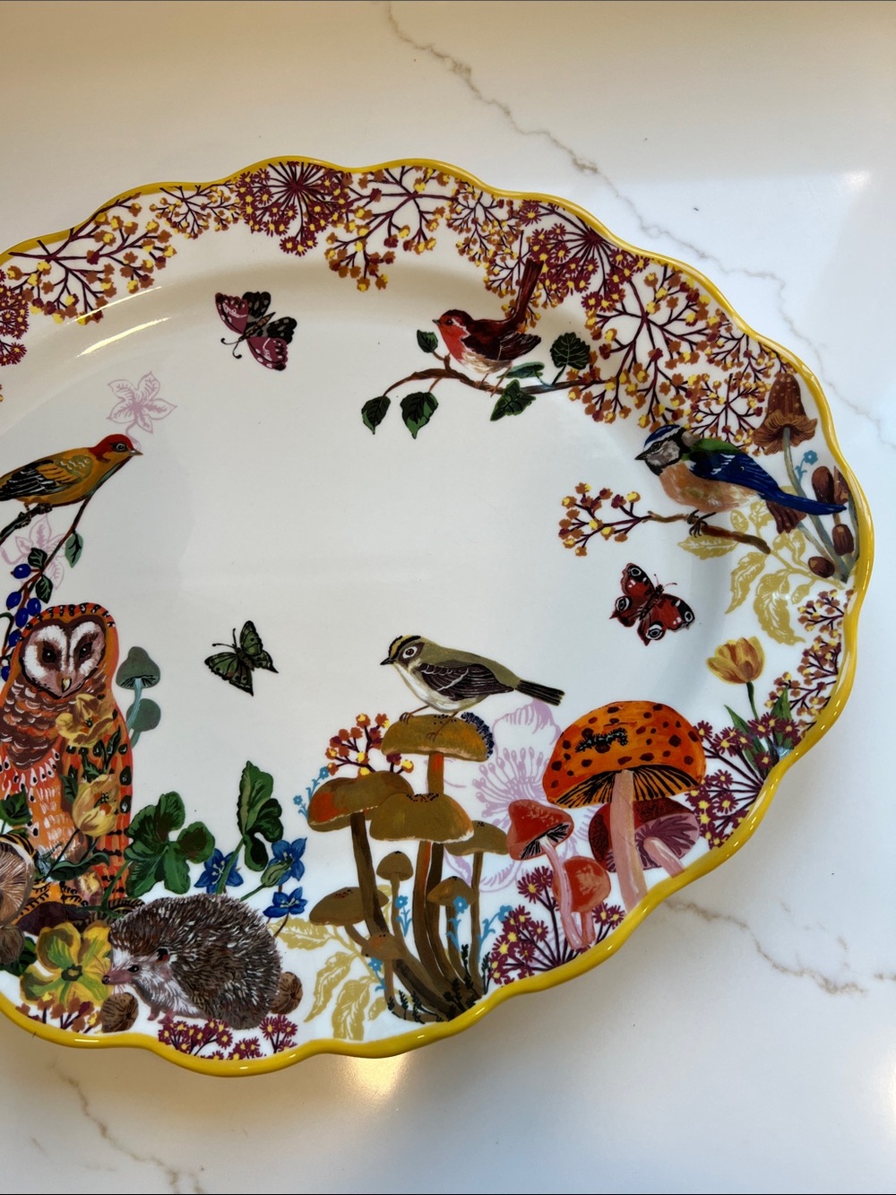 Nathalie Lete’ Woodland Botanical & Bird Serving Platter - Picture 4 of 6